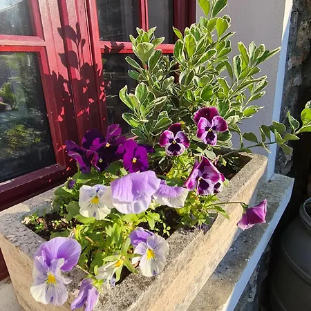 Micro Vitamine * Chaufour-lès-Bonnières